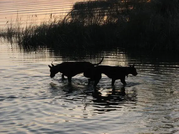 Wildlife Refuge
